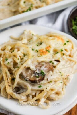 close up of Chicken Tetrazzini on a plate